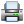 Print icon