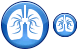 Lungs ico