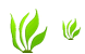 Algae icons
