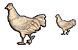 Chicken icons