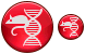 Genetics icons