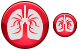 Lungs ico