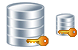 Database security ico