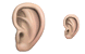 Ear icons