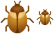 Bug icons