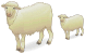 Sheep ICO